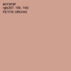#CF9F8F - Petite Orchid Color Image
